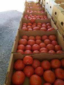 Tomatoes Fort Vannoy Farms Farm Stand 3
