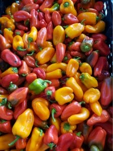 Peppers Fort Vannoy Farms Farm Stand 3