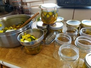 Canning the Pickles