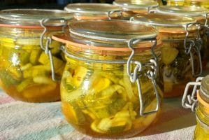 Canned Bread and Butter Pickles