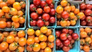 Cherry Tomatoes Fort Vannoy Farms Farm Stand 3