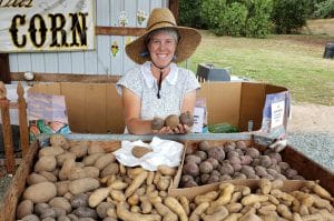 Erin Potatoes Farm Stand