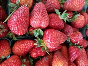 U-Pick Strawberries, Blueberries, Raspberries and Blackberries